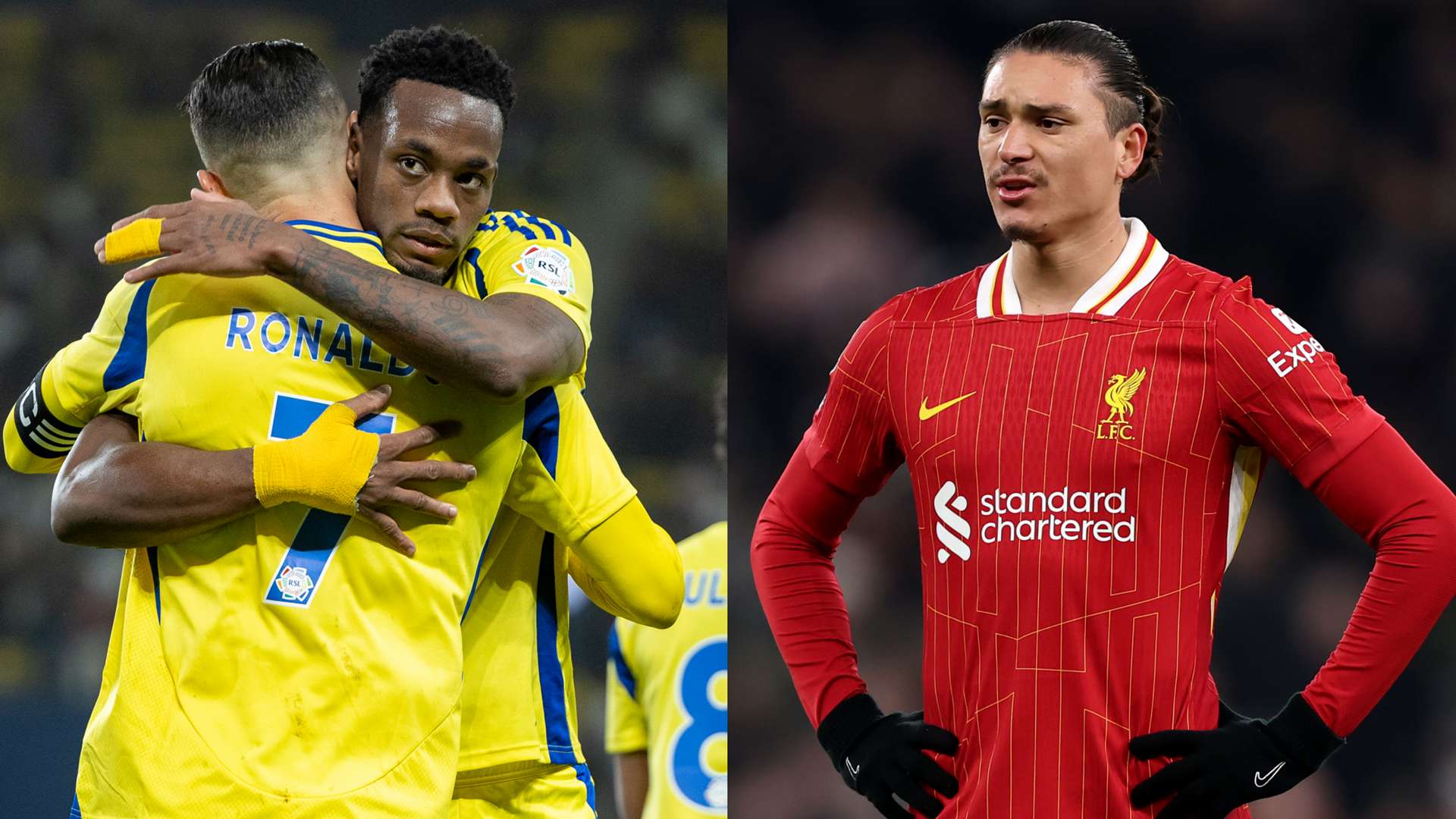 自己的职业 自己的职业