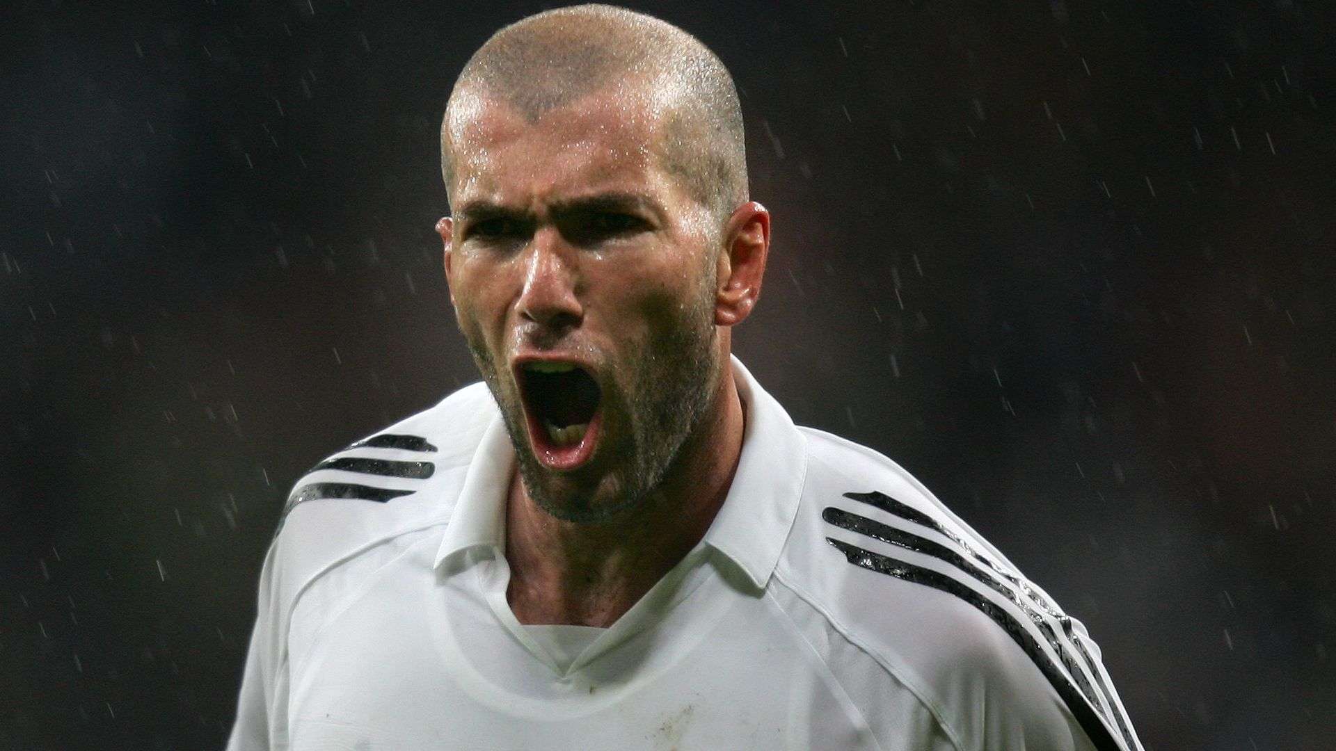 并非随意 并非随意